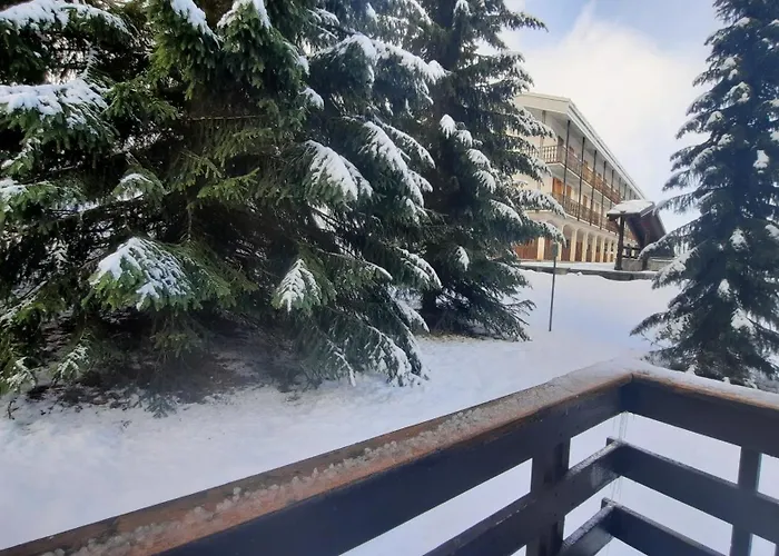 House Marmotta Daire *